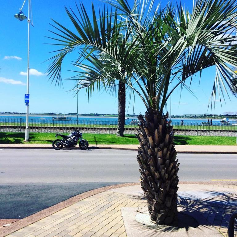 Harbourside City Backpackers Tauranga Bagian luar foto