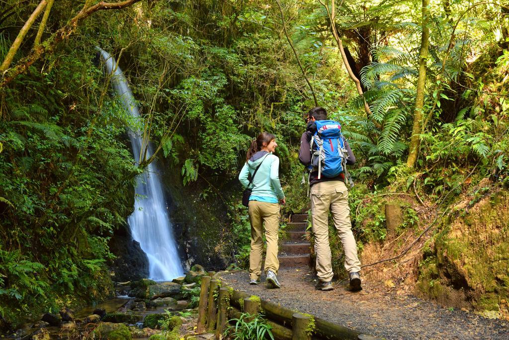 Harbourside City Backpackers Tauranga Bagian luar foto